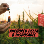 Anchored Delta 8 Disposable