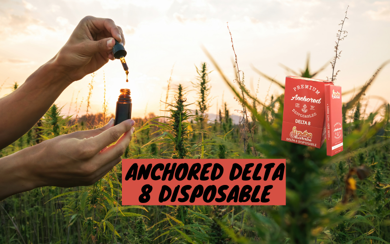 Anchored Delta 8 Disposable