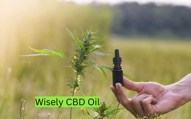 Wisely CBD Oil