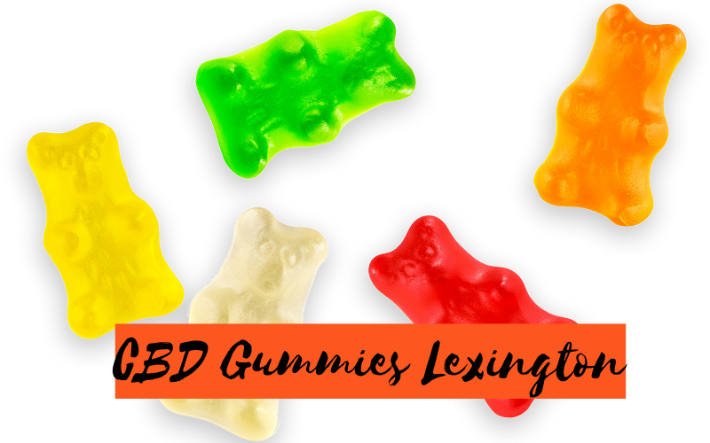 CBD Gummies Lexington