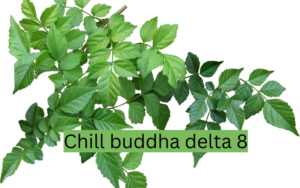 Chill buddha delta 8